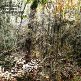 Au Dela.gif 168x168, 33k