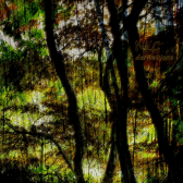 Dérivations digital release cover.gif 168x168, 28k