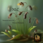 Botanical Series Vol. 3: Dionaea Muscipula.gif 168x168, 21k