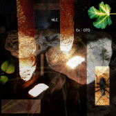 Ex - OTO.gif 168x168, 22k
