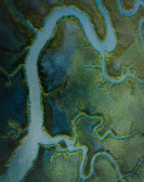 36 Currents, One Tide.gif 168x168, 22k