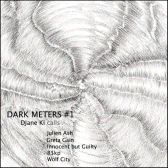Dark Meters #1 (Djane Ki Calls).gif 168x168, 22k