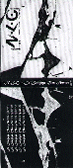 Le Langage Des Autres.gif 73x168, 12k