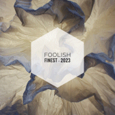 Foolish Finest 2.gif 168x168, 24k