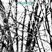 Migration.gif 168x168, 18k