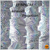 Reverse Projektum.gif 168x168, 32k