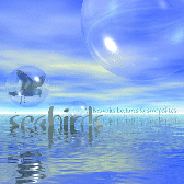 Seabirds.gif 168x168, 24k