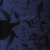 Where Turtles Sleep.gif 168x168, 15k